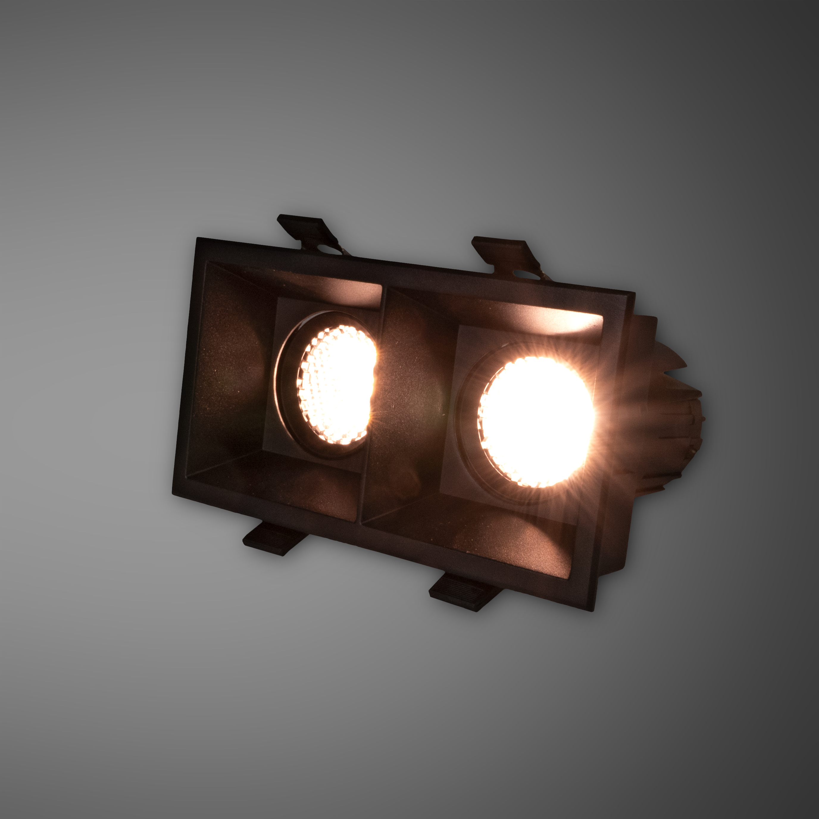 MLX LED Back Downlight Double