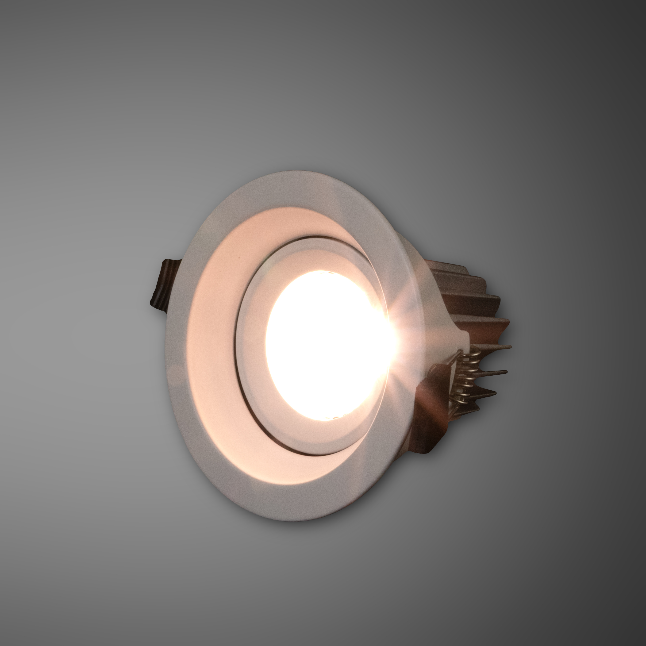 MLX LED Back Downlight