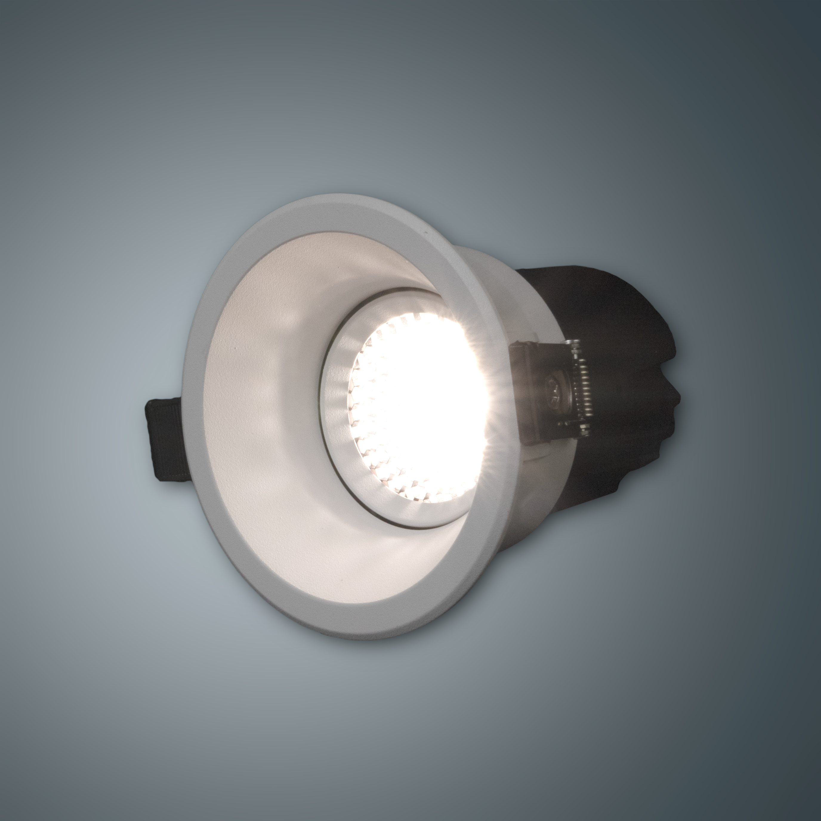 MLX LED Back Downlight