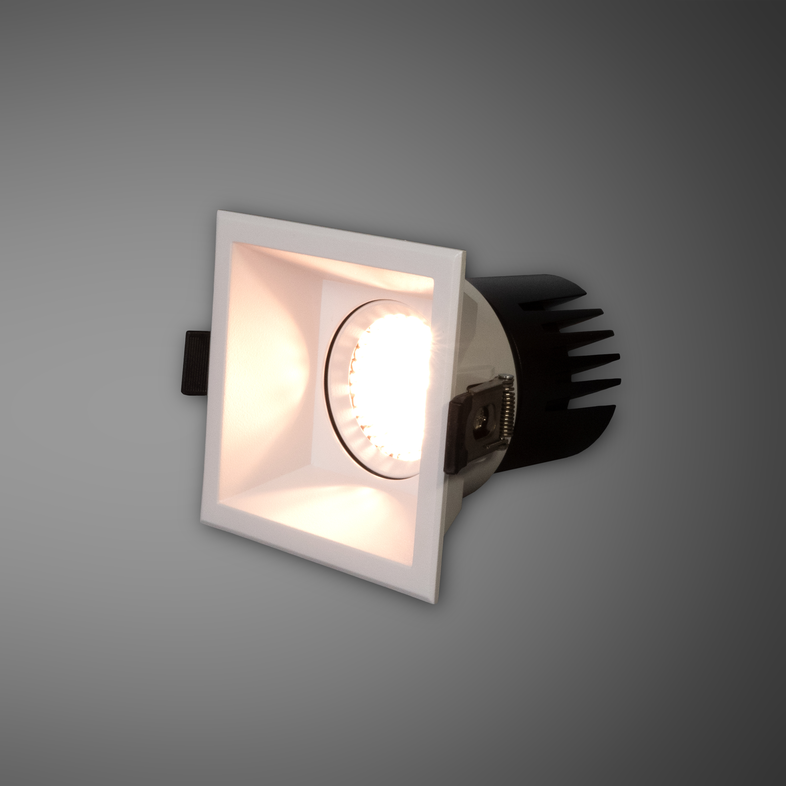 MLX LED Back Downlight