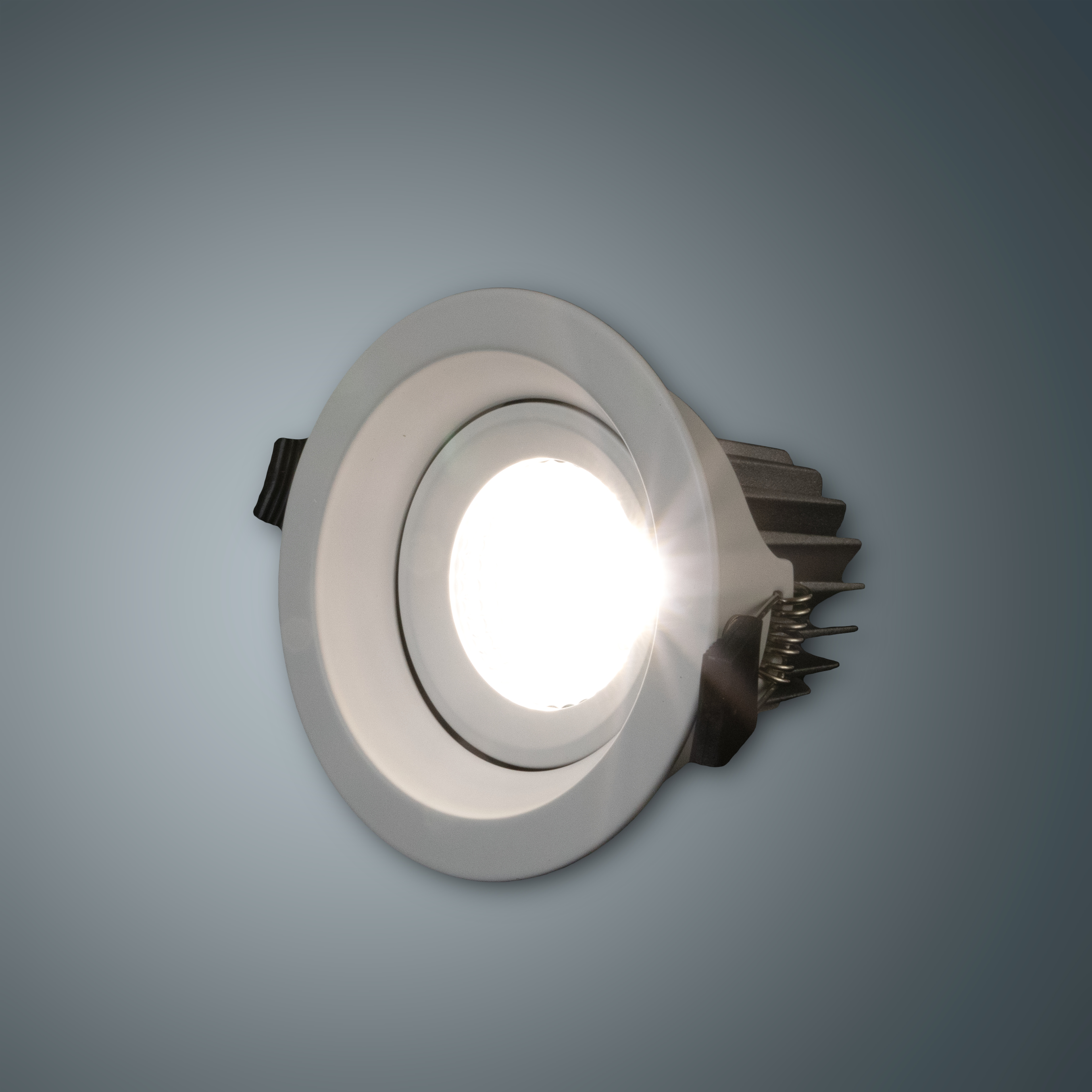 MLX LED Back Downlight