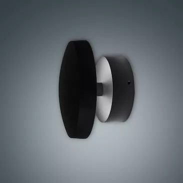 MLX Wall Mushroom